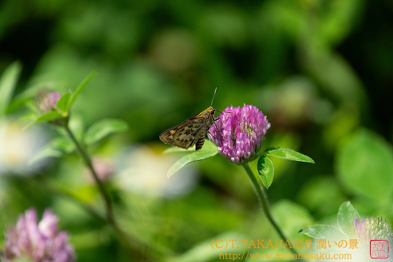 ../Images/7R240807 (20).jpg